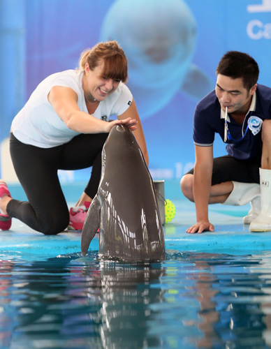 有不少通过 有不少通过