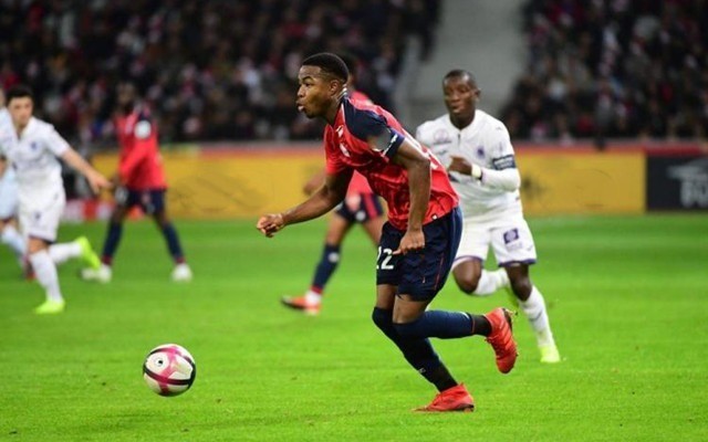 我们将详细 我们将详细